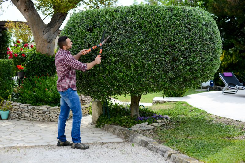 Bush Pruning in Honolulu, HI