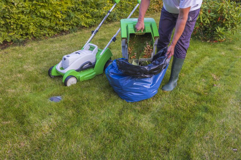 Leaf Cleanup Service in Honolulu, HI