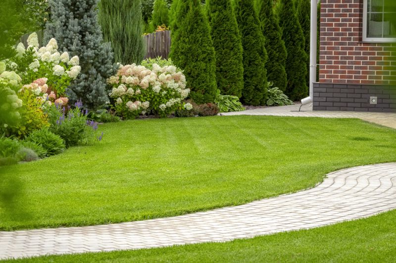 Privacy Landscaping in Ventura County, CA