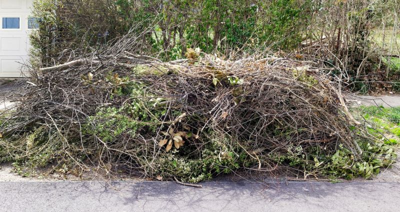 Tree Branch Disposal in Ventura County, CA