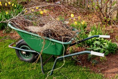 yard clean up and spring cleaning