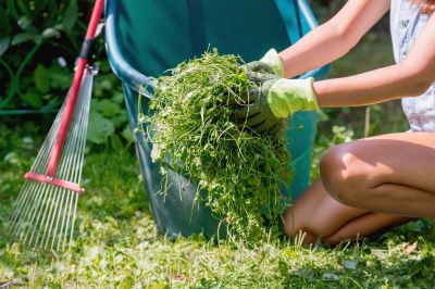 yard clean up and spring cleaning
