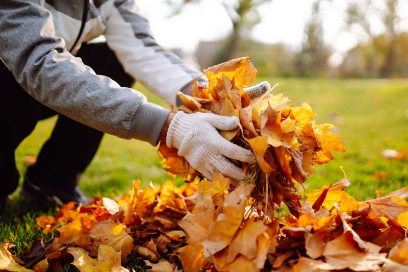 Autumn Leaf Removal in Ventura County, CA