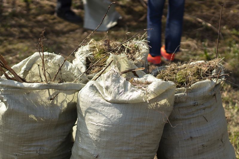 Brush Cleanup Service in Ventura County, CA