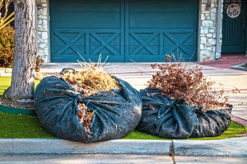 Brush Cleanup Service in Ventura County, CA