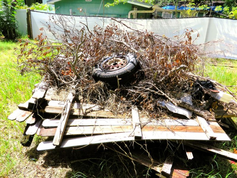 Brush Cleanup Service in Honolulu, HI