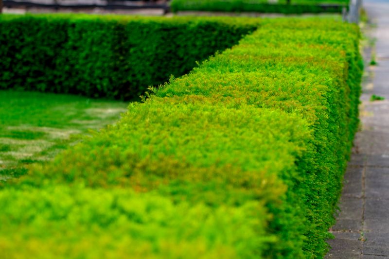 Bush Landscaping in Honolulu, HI
