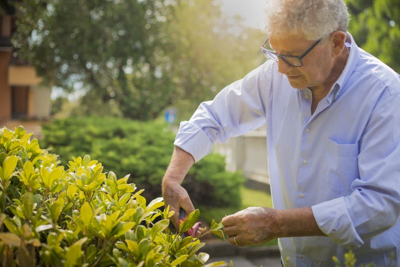 Bush Trimming Service in Honolulu, HI