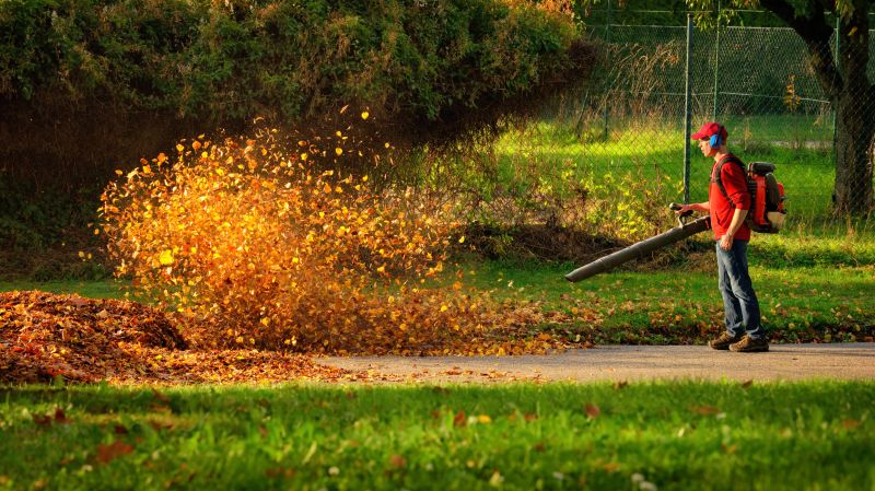 Commercial Leaf Removal in Ventura County, CA