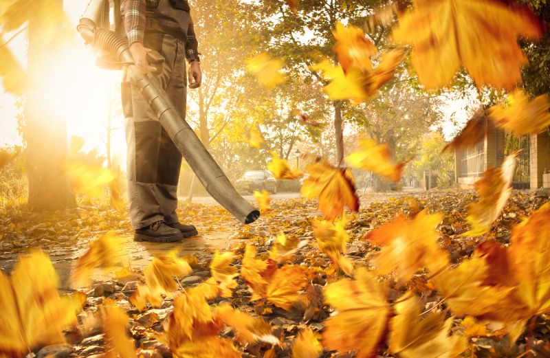 Commercial Leaf Removal in Honolulu, HI