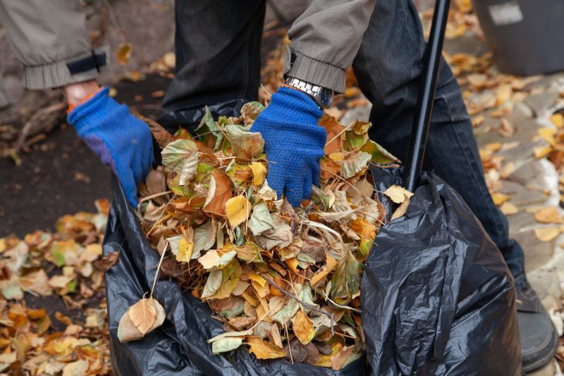 Commercial Leaf Removal in Honolulu, HI