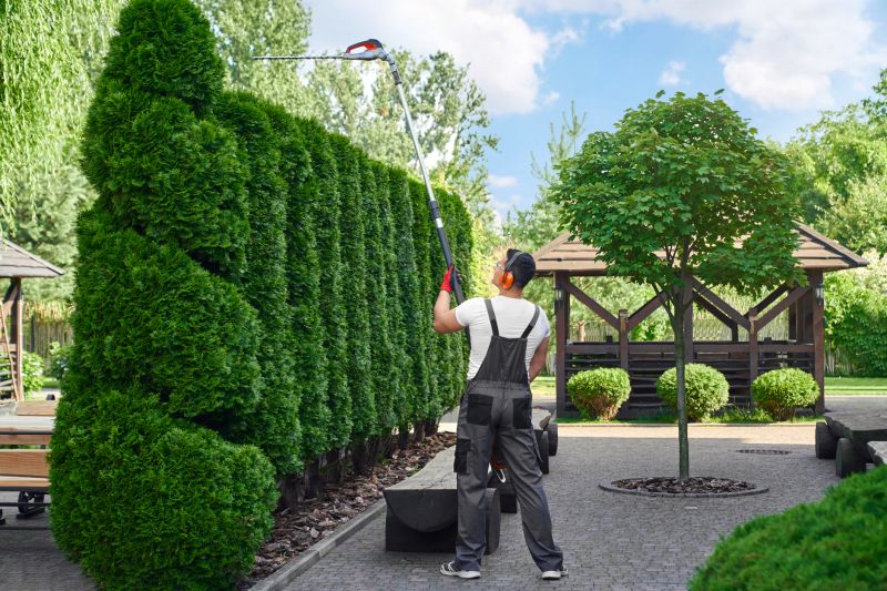 Commercial Shrub Trimming in Honolulu, HI