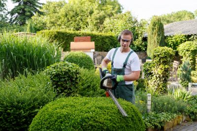 Commercial Shrub Trimming in Honolulu, HI