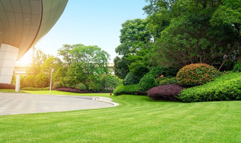 Courtyard Design Service in Honolulu, HI