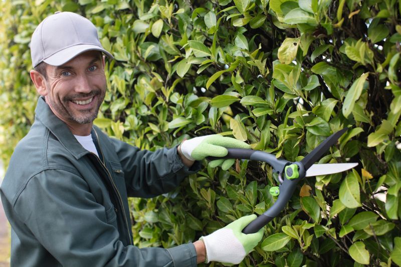 Evergreen Hedge Trimming in Honolulu, HI