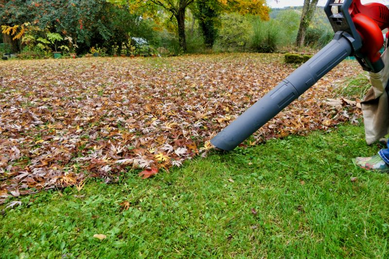 Leaf Blower in Use