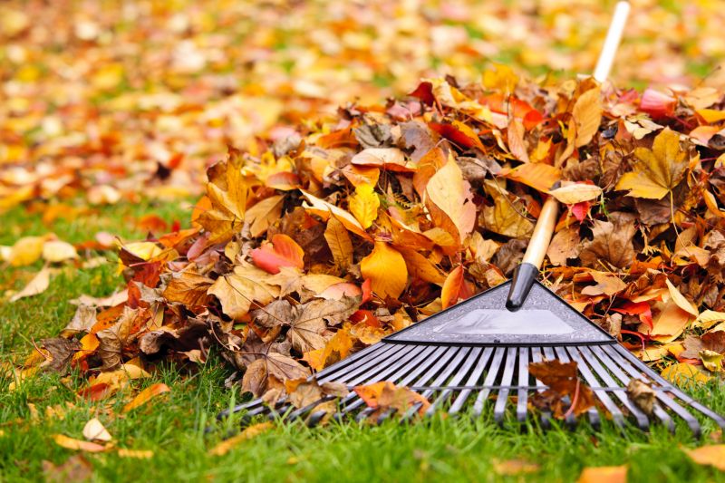 Mulched Leaves Covering Lawn