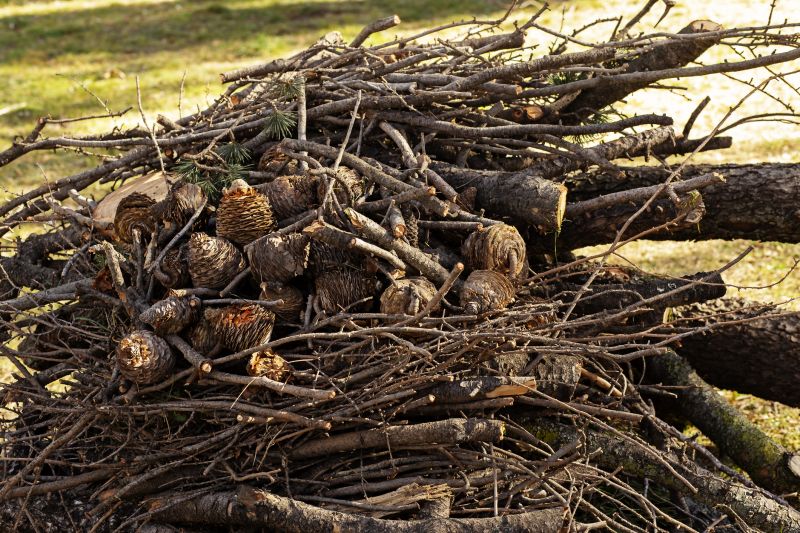 Fallen Branch Removal in Ventura County, CA