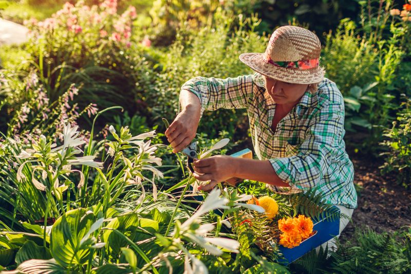 Flower Landscaping in Ventura County, CA