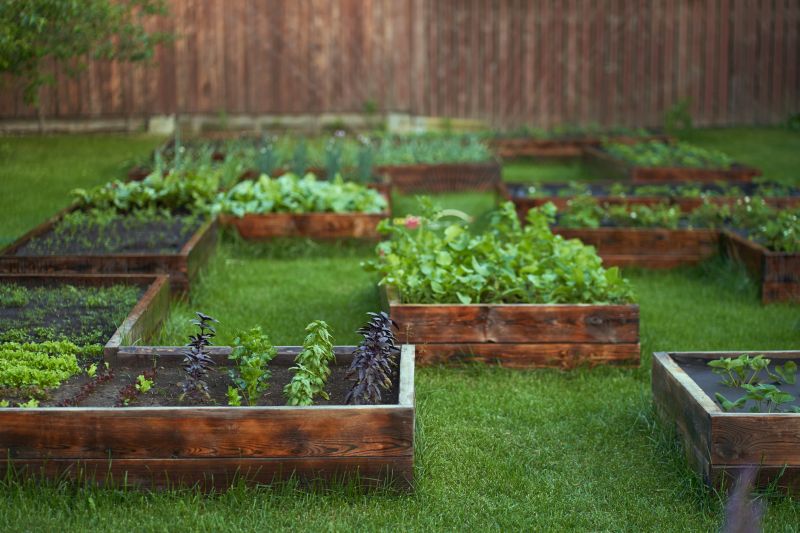 Garden Bed Construction in Honolulu, HI