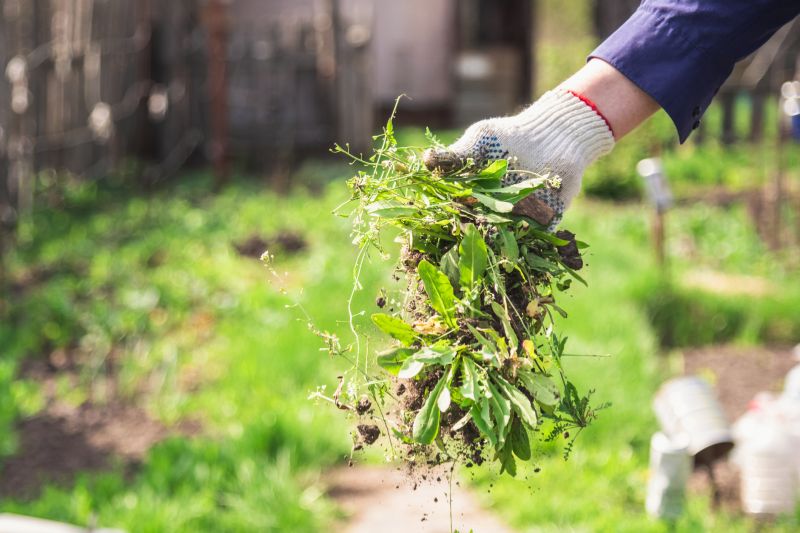 Garden Deweeding in Rockwall, TX