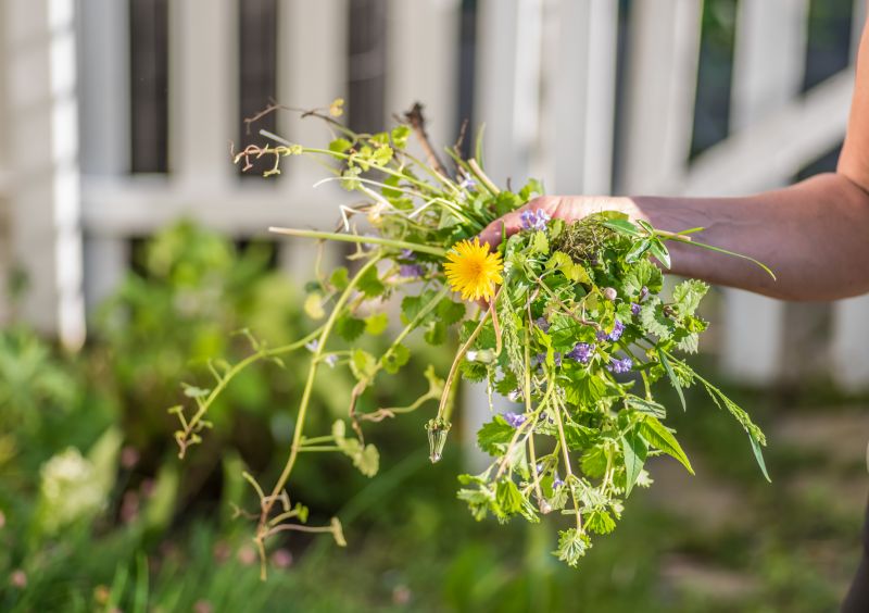 Garden Deweeding in Honolulu, HI
