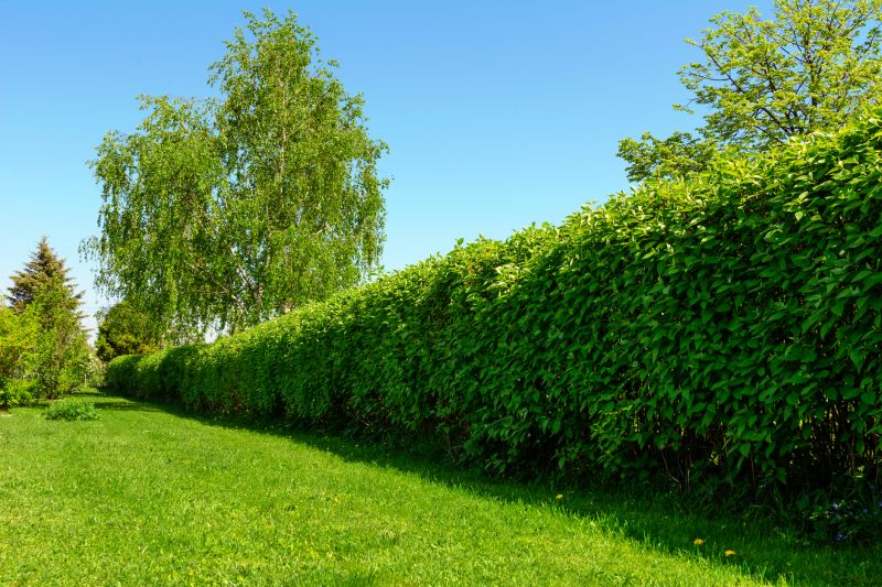 Hedge Landscaping in Honolulu, HI