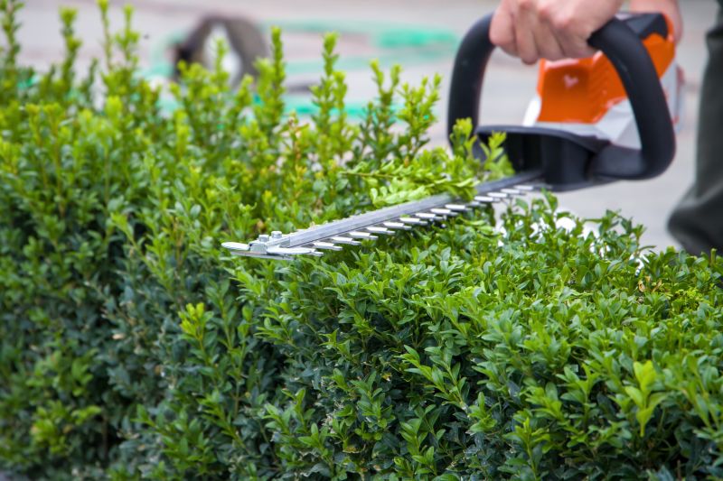 Hedge Removal Service in Honolulu, HI