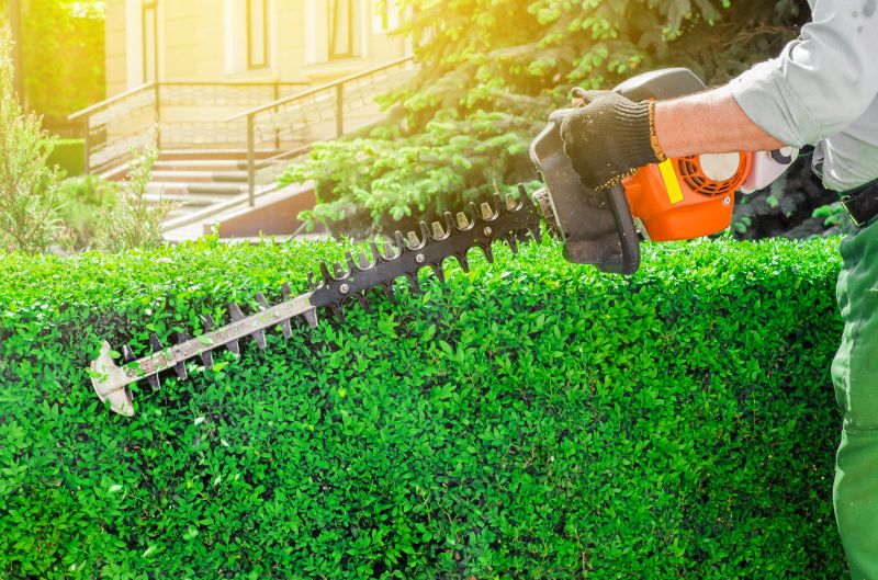 Hedge Shaping Service in Honolulu, HI