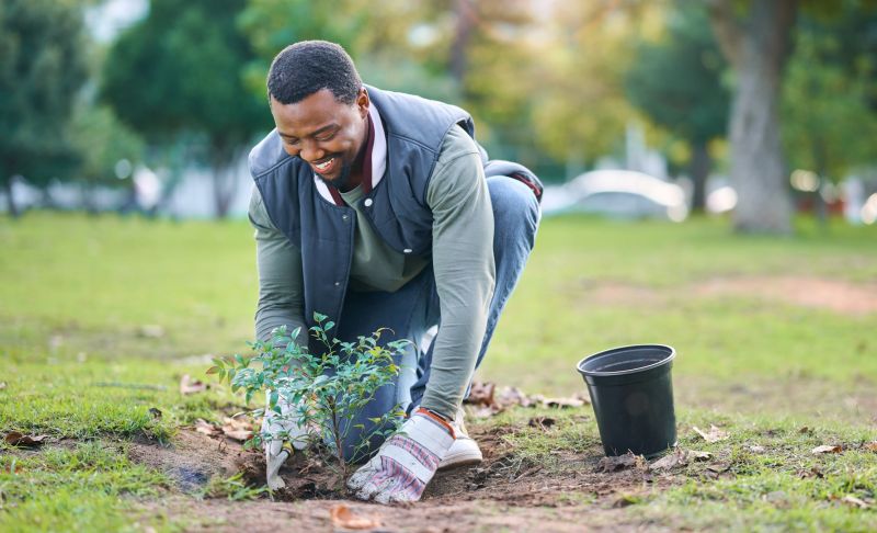 Landscape Planting Service in Ventura County, CA