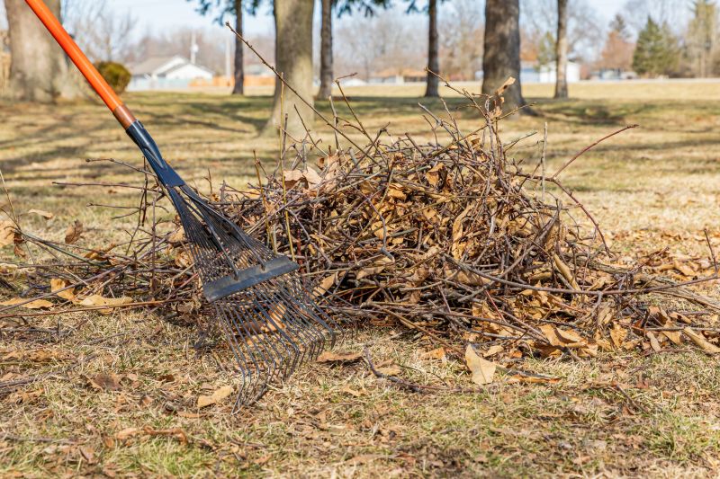 Lawn Debris Cleanup in Honolulu, HI