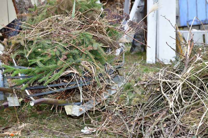 Lawn Debris Cleanup in Ventura County, CA
