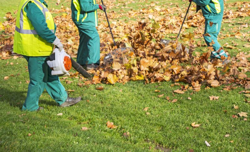 Leaf Removal in Ventura County, CA