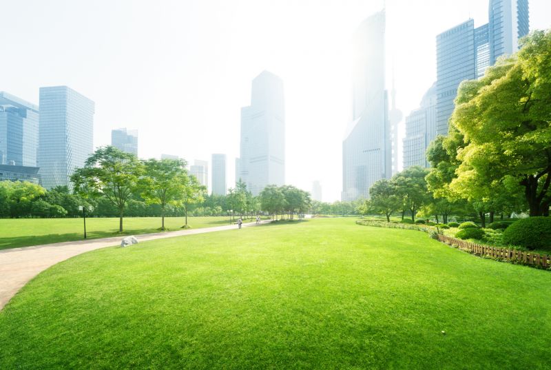 Park Landscape Maintenance in Ventura County, CA