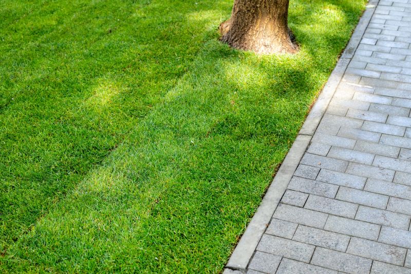 Pathway Landscaping in Honolulu, HI