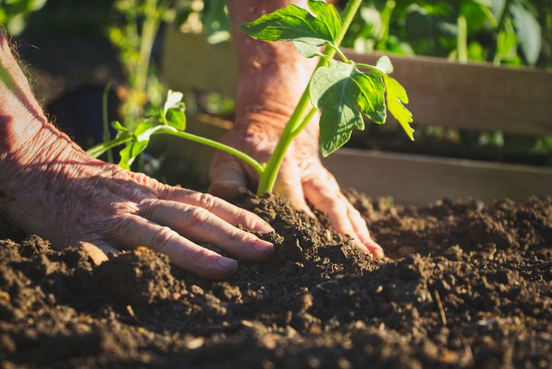 Perennials Planting in Ventura County, CA