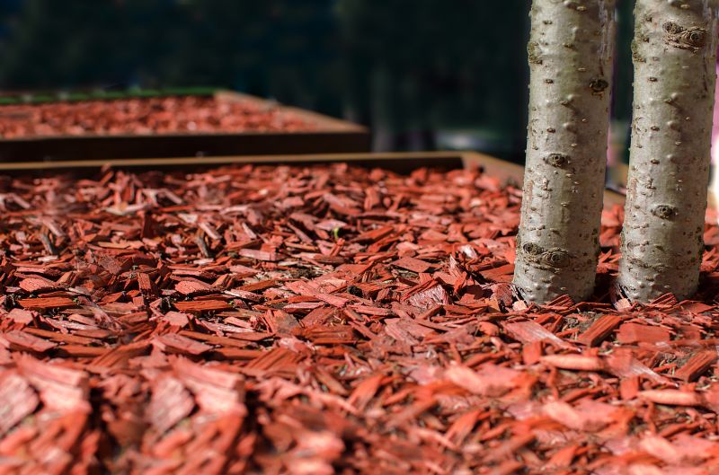 Red Mulch Installation in Honolulu, HI