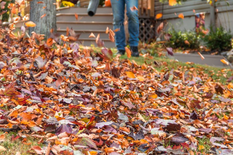 Seasonal Lawn Maintenance in Ventura County, CA