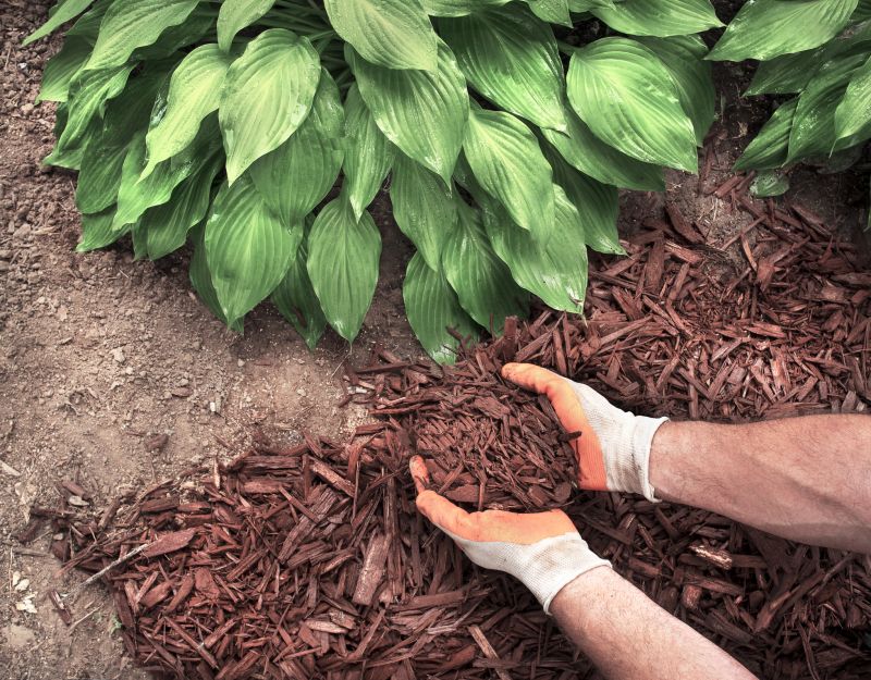 Shredded Mulch Service in Honolulu, HI
