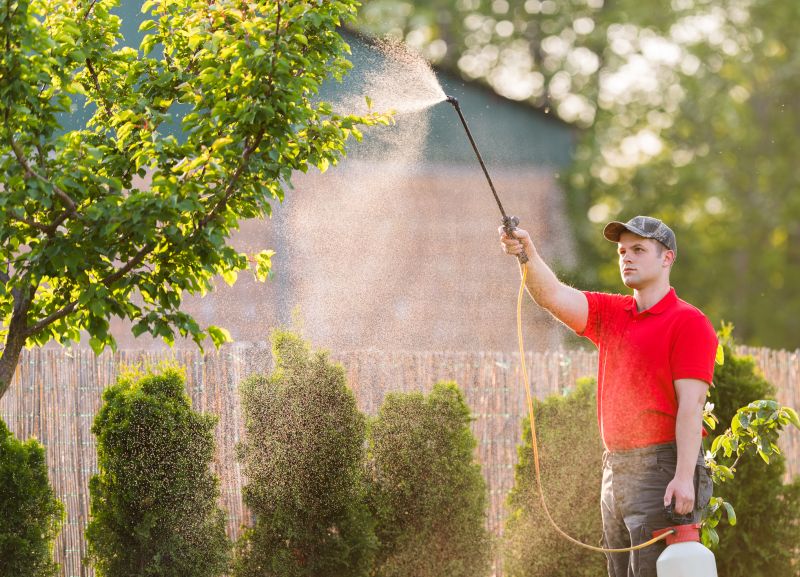 Shrub Care Service in Reno, NV