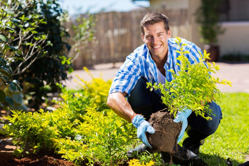 Shrub Installation in Ventura County, CA