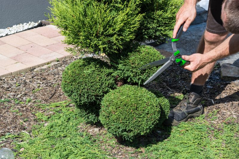 Shrub Pruning in Honolulu, HI