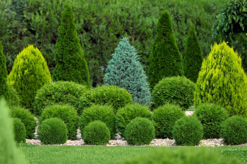 Shrub Shaping in Honolulu, HI