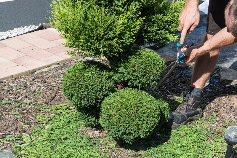 Shrubs Removal in Honolulu, HI