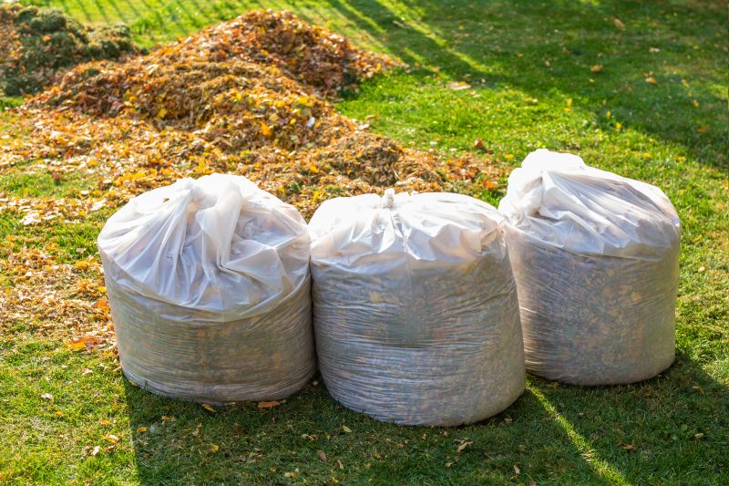 Spring Lawn Cleanup in Ventura County, CA