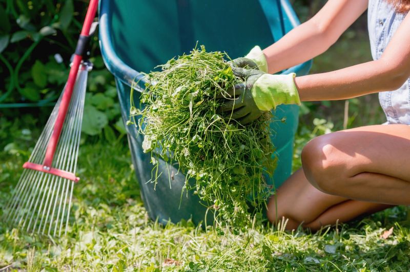 Spring Yard Cleanup in Honolulu, HI