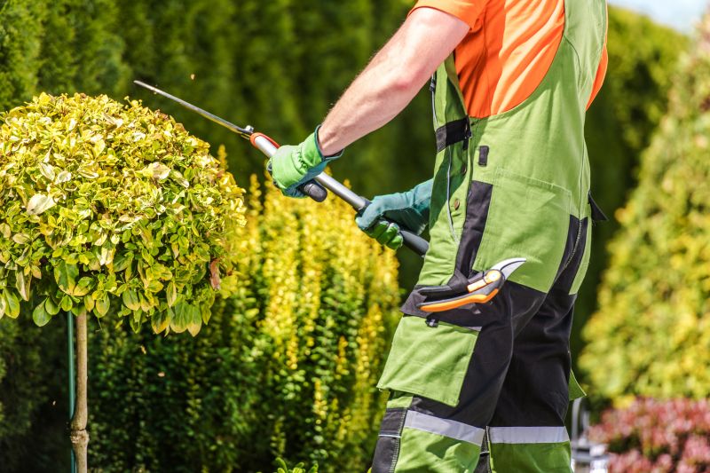 Topiary Shaping in Honolulu, HI
