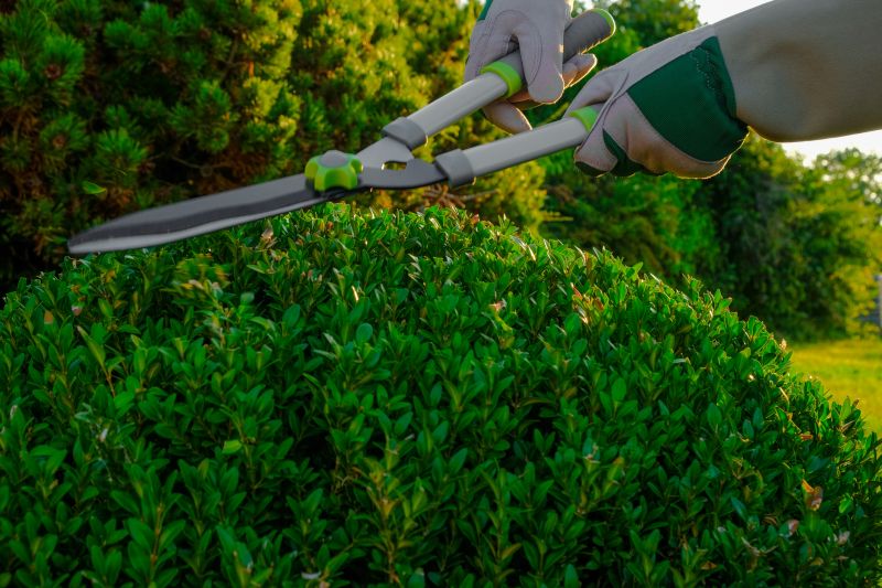 Topiary Shaping in Honolulu, HI