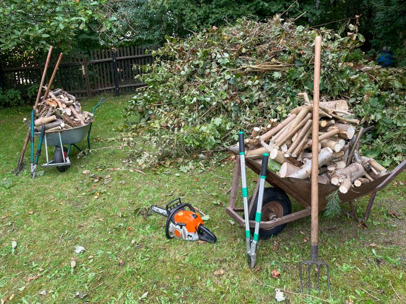 Tree Branch Disposal in Honolulu, HI