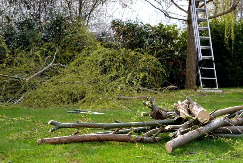 Tree Branch Disposal in Honolulu, HI